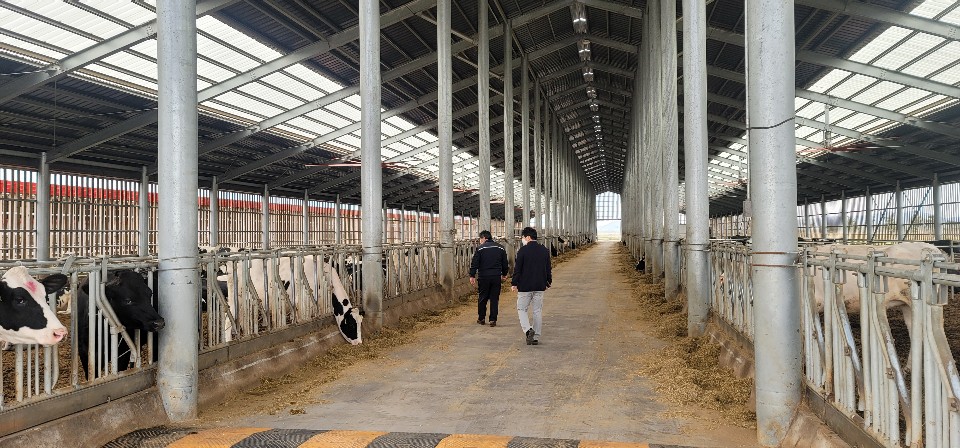 슬라이드 이미지